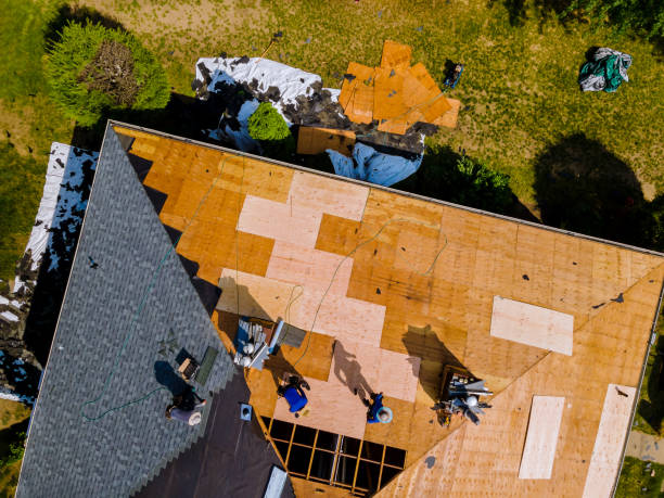 Best Metal Roofing Contractor  in Spencerport, NY