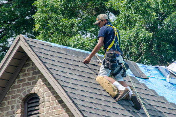 Best Roof Gutter Cleaning  in Spencerport, NY